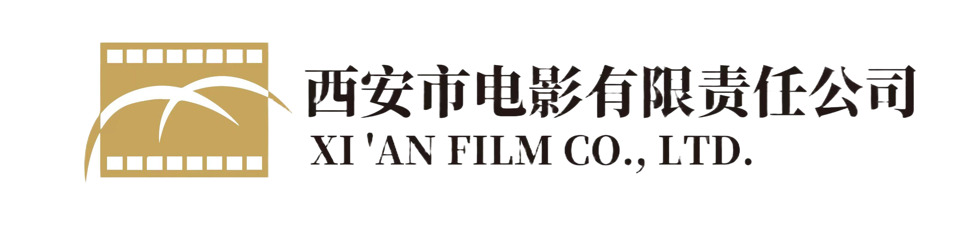 西安市电影有限责任公司